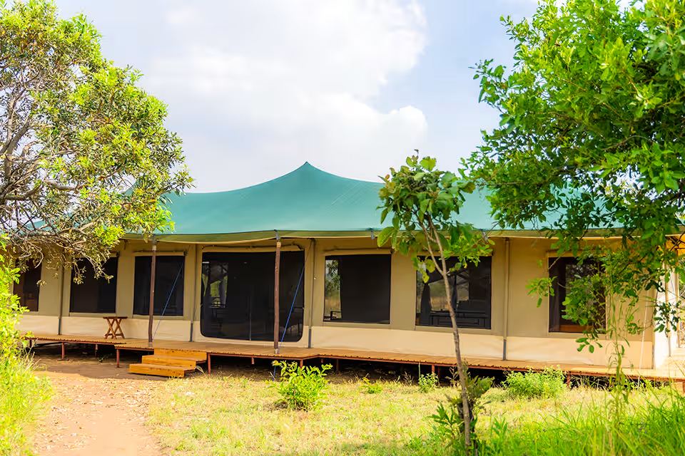 Family Tented Room: the bed, canvas walls and the view from the veranda