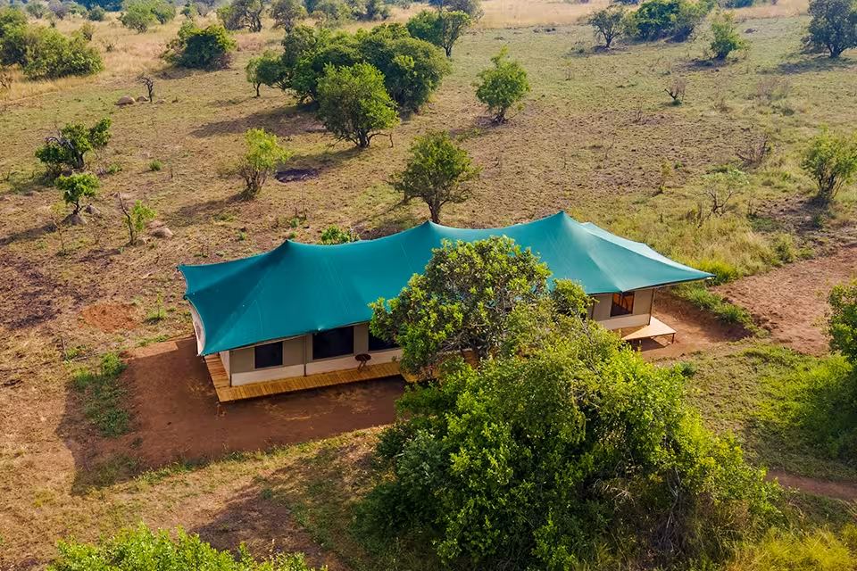 The shore of Lake Ndutu